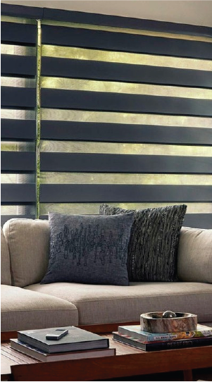 Zebra Blind